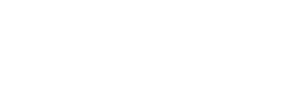 HKUST Logo